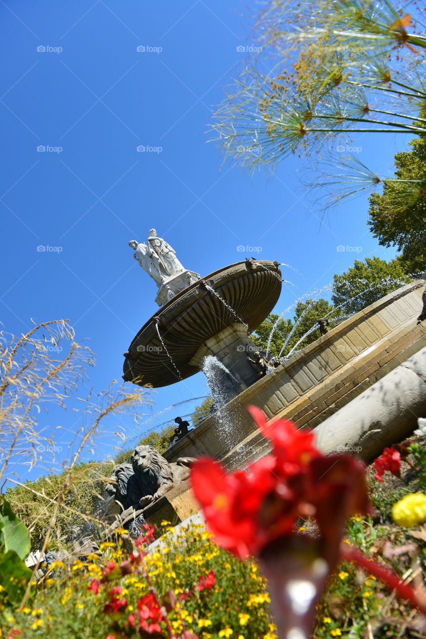 Fountain. Aix-en-Provence.
Cours Mirabeau.
Summer.