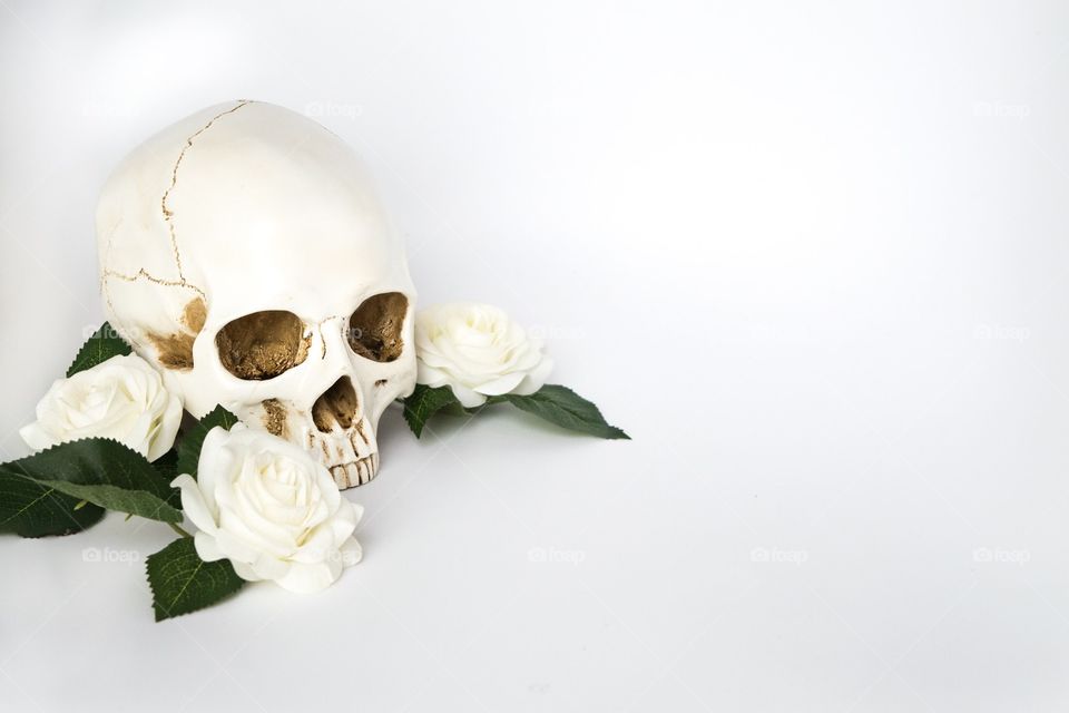 Human skull white and gold with white roses of green leaves. On white background 