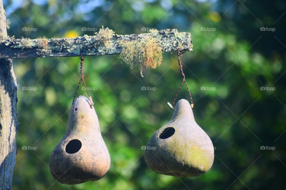 Autumn Is Approaching 🍃