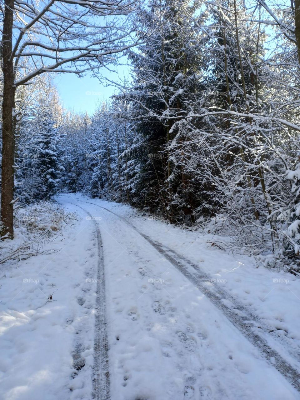 A Road in Winter Snow