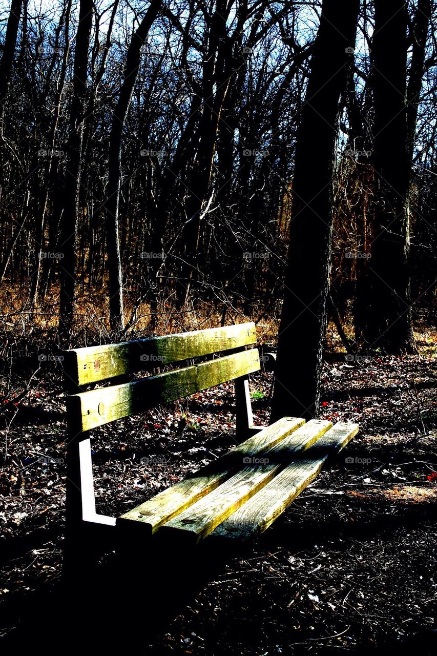 The Lonely Bench