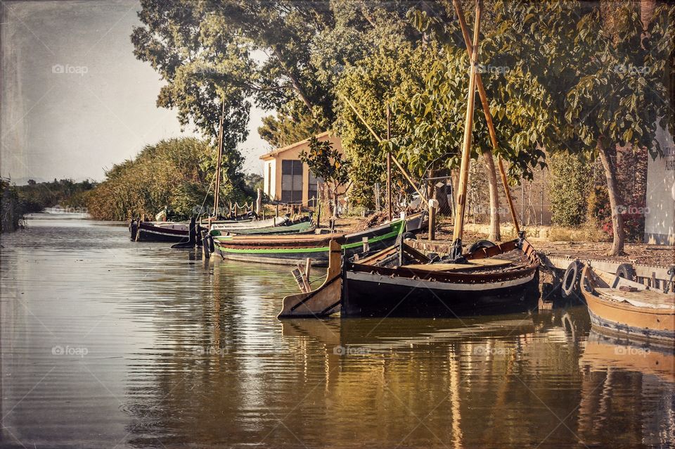 Boats moored in albufera de valencia