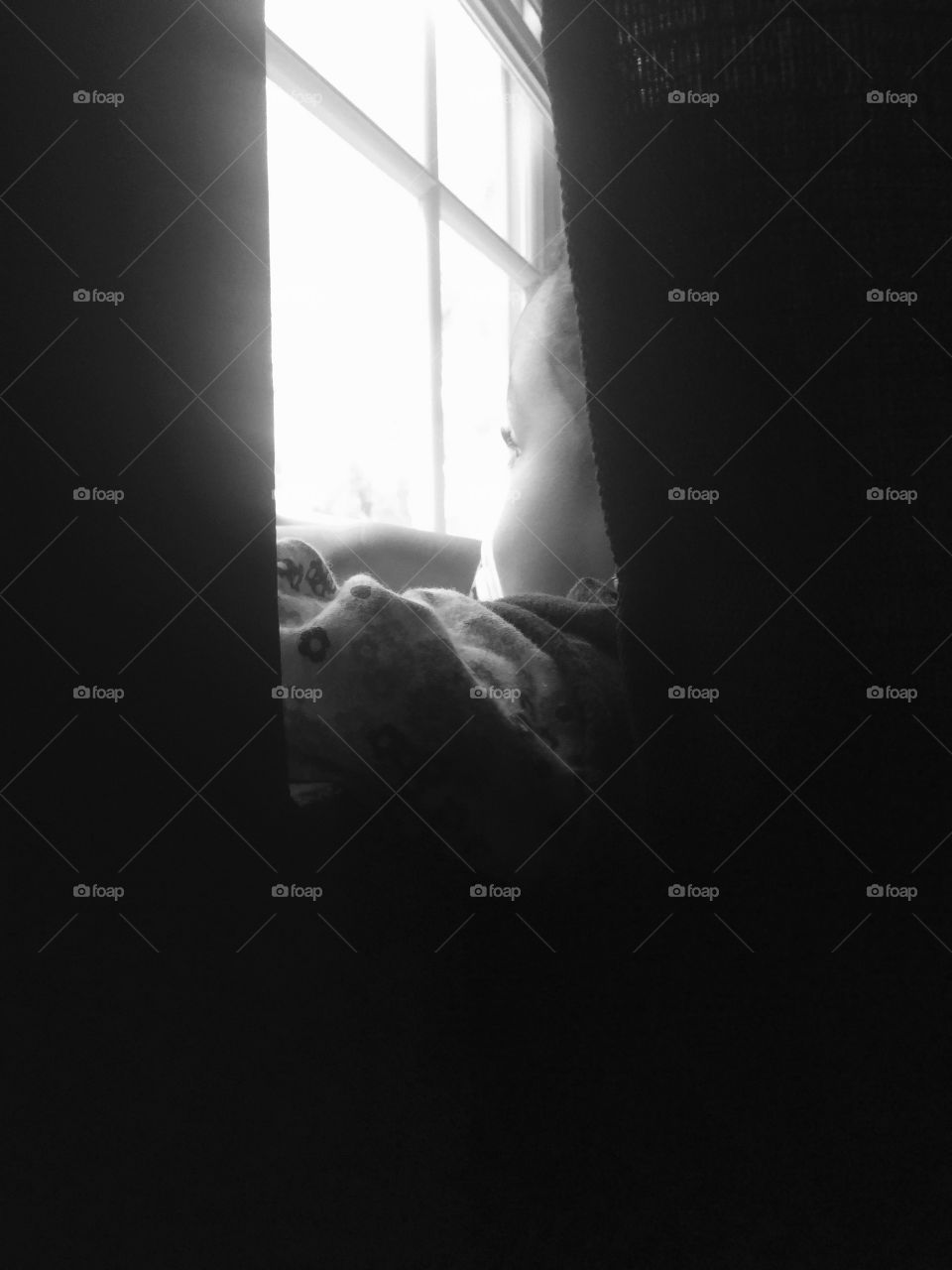 Pensive . My daughter being curious about what's going on in those trees outside