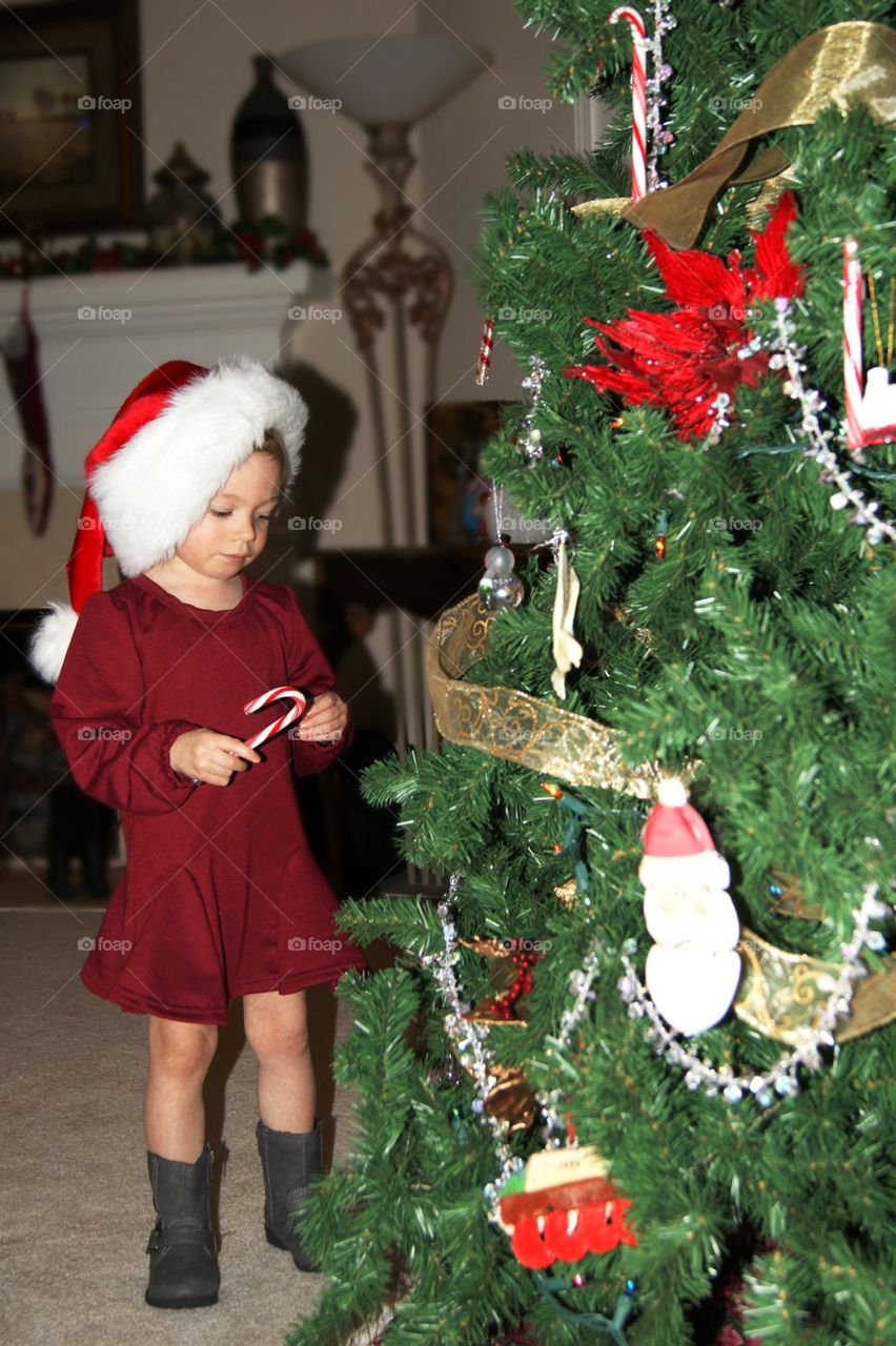A little girl standing in santa hat near christmas tree