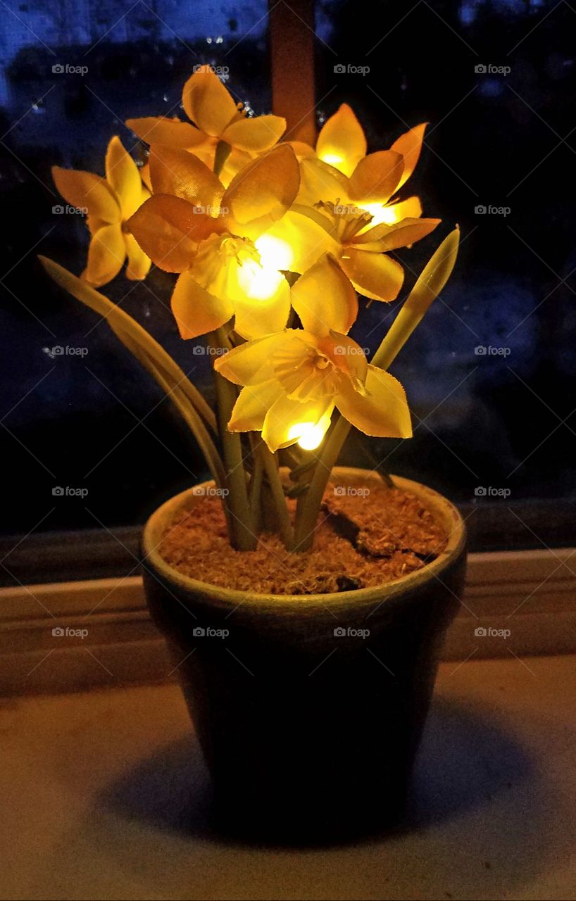 lighted flowers