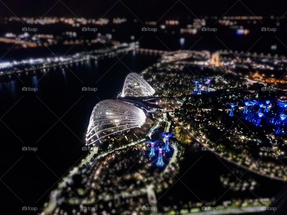 Night View of gardens by the bay