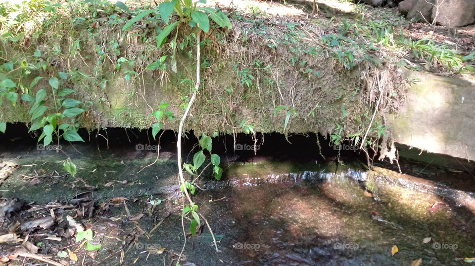 LEITO DE PEDRA DO RIACHO