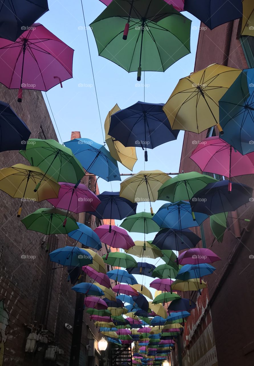 Alleyway full of umbrellas 