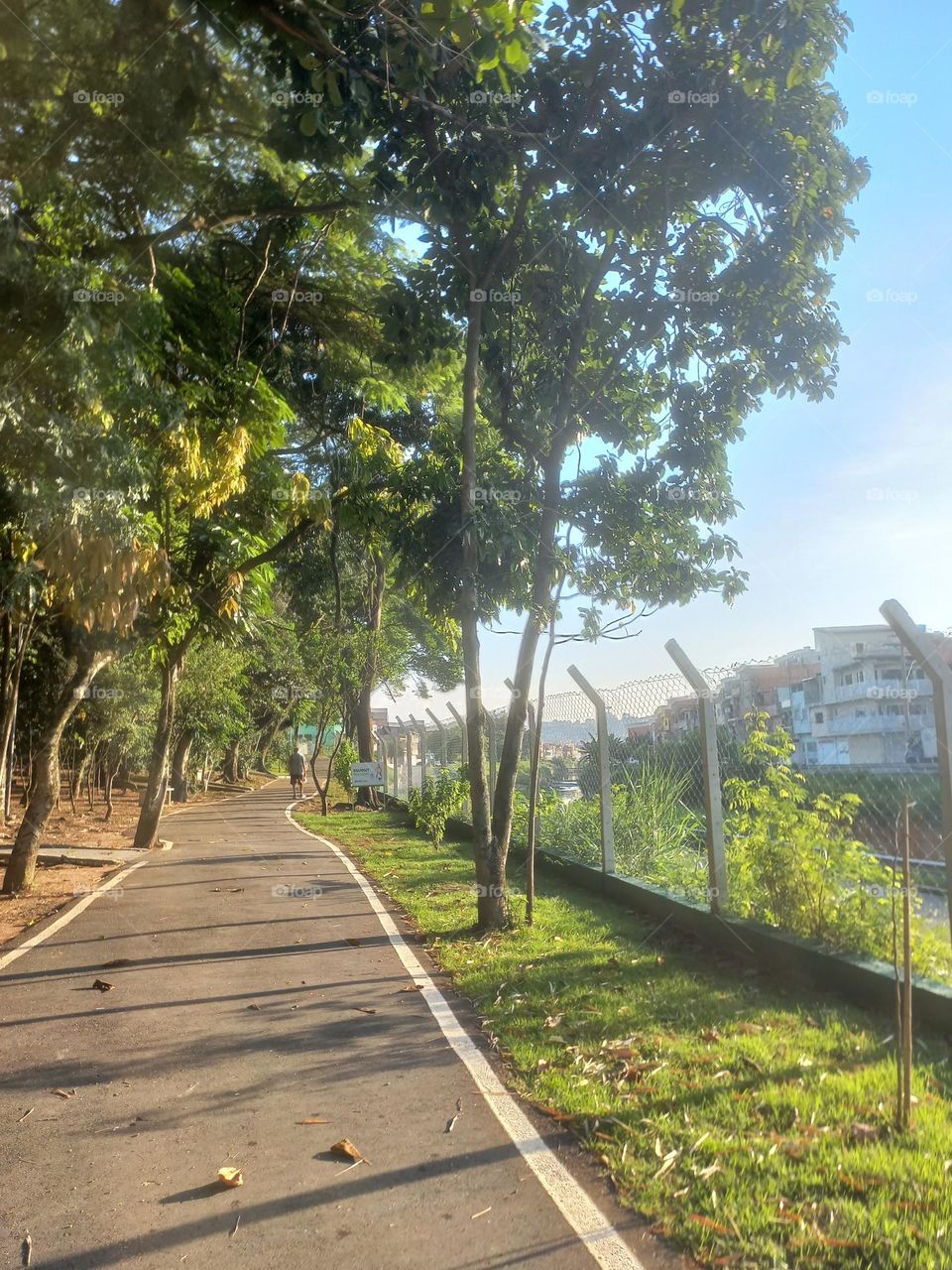 As áreas verdes urbanas estão relacionadas com a qualidade de vida e exercem funções ecológicas, estéticas e psicológicas na bida dos habitantes dos grandes centros urbanos