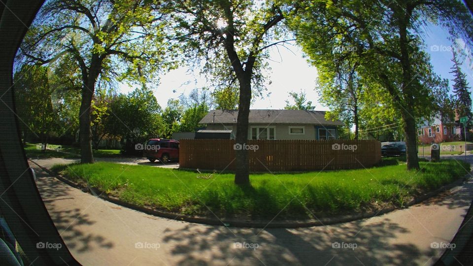 Tree, No Person, Road, Landscape, House