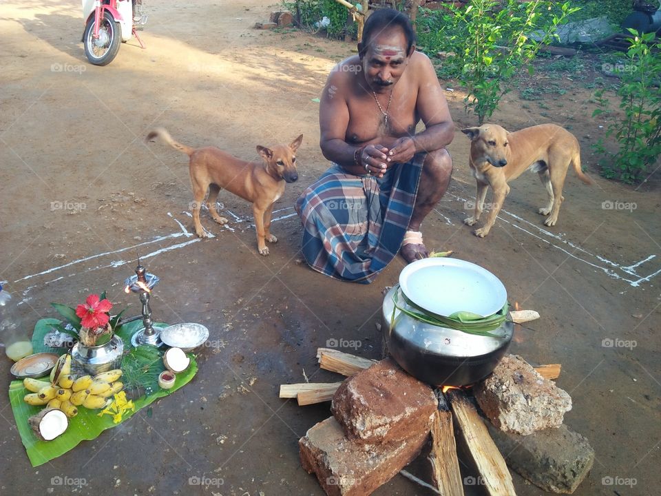 happy thy pongal
god and baby dog and my father