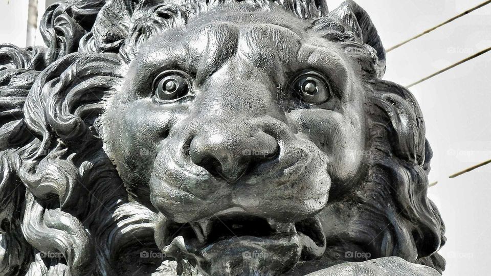 Lion Statue DC