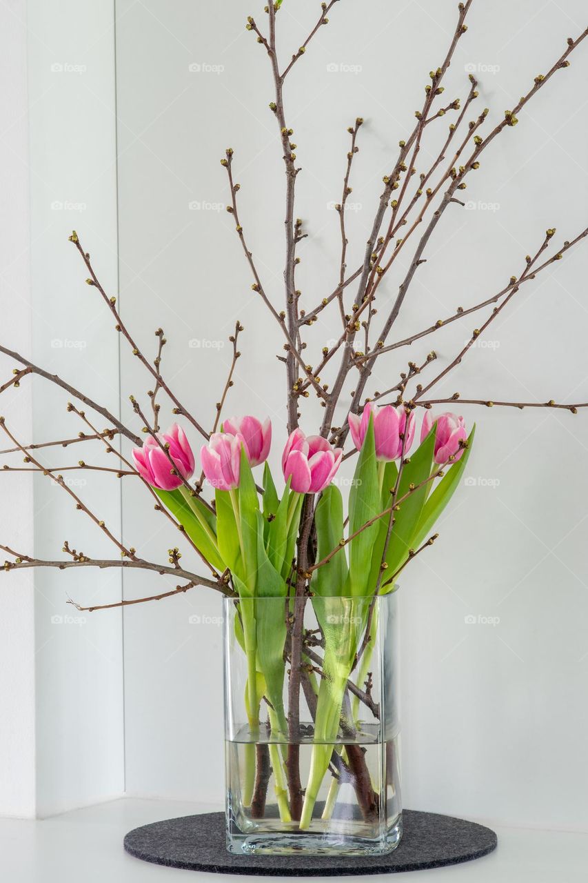 pink tulips in a glass vase