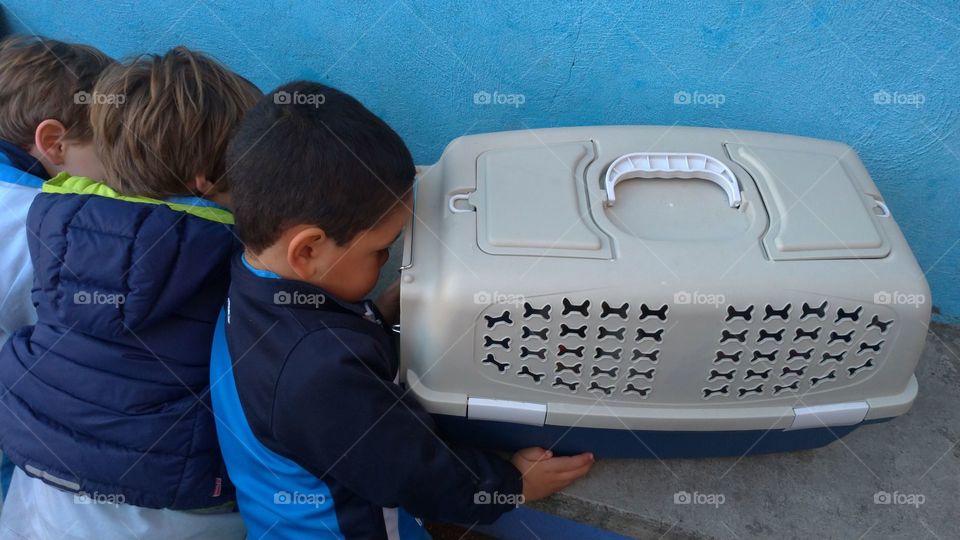Niño observando a una mascota en el transportin