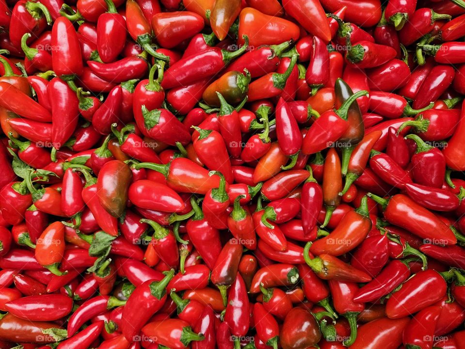 Hungarian paprika