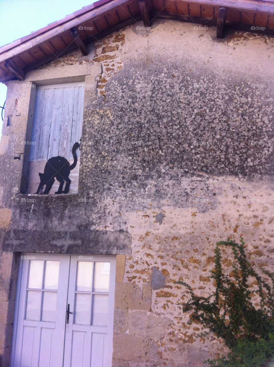 house cat window door by ggrig