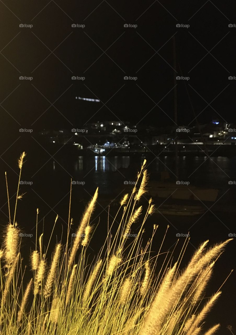 Lightning grass in night along river