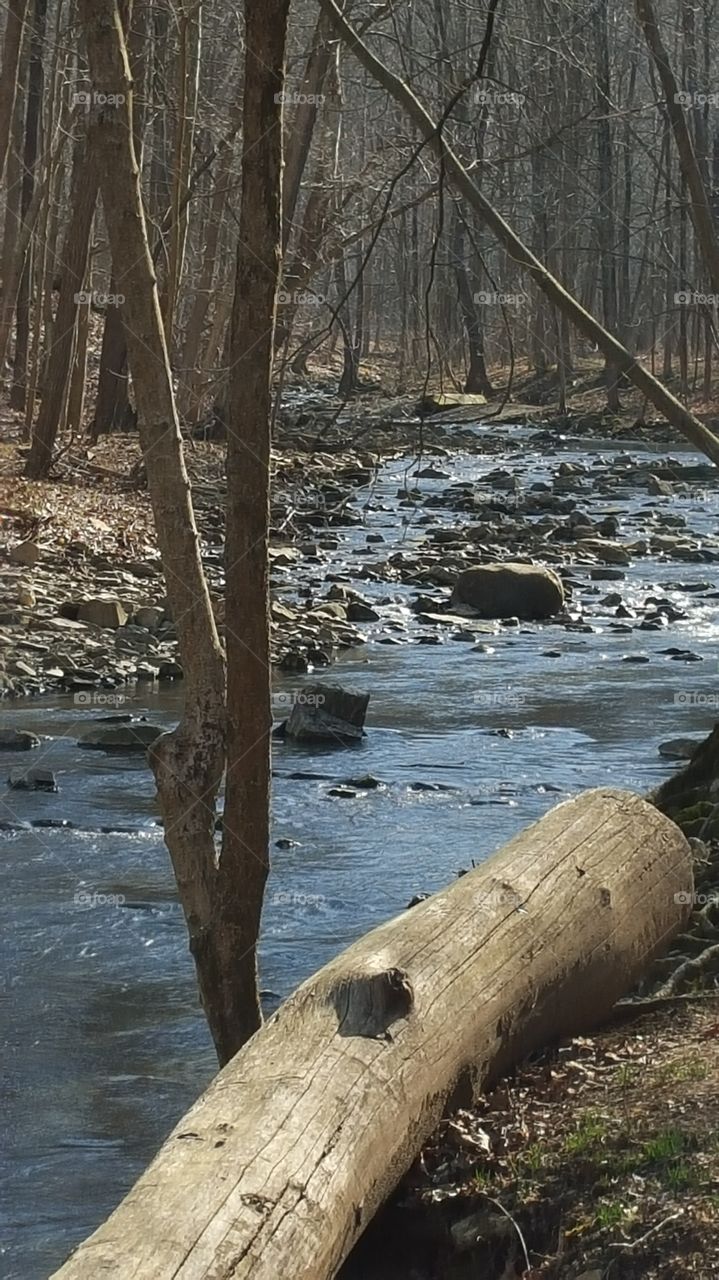 Cedar creek