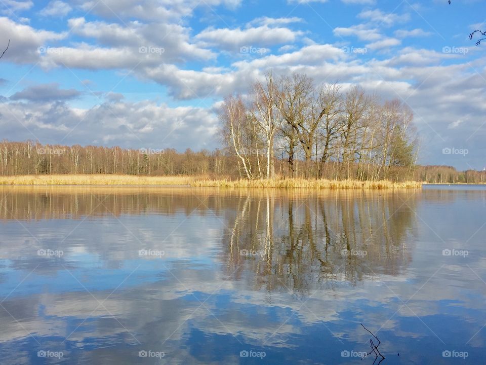 Reflections in the lake