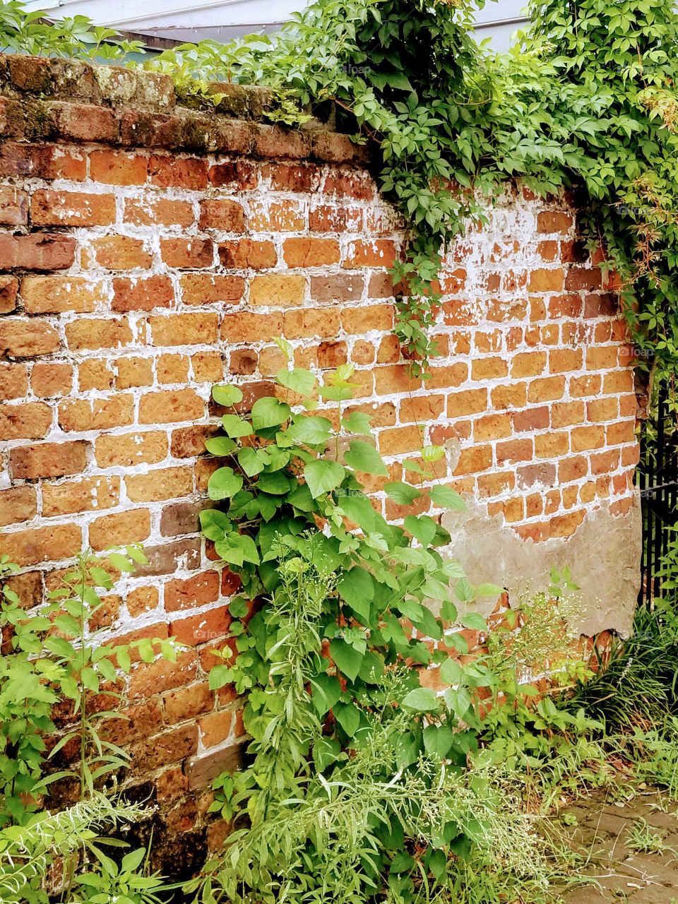Brick Wall from 1700s