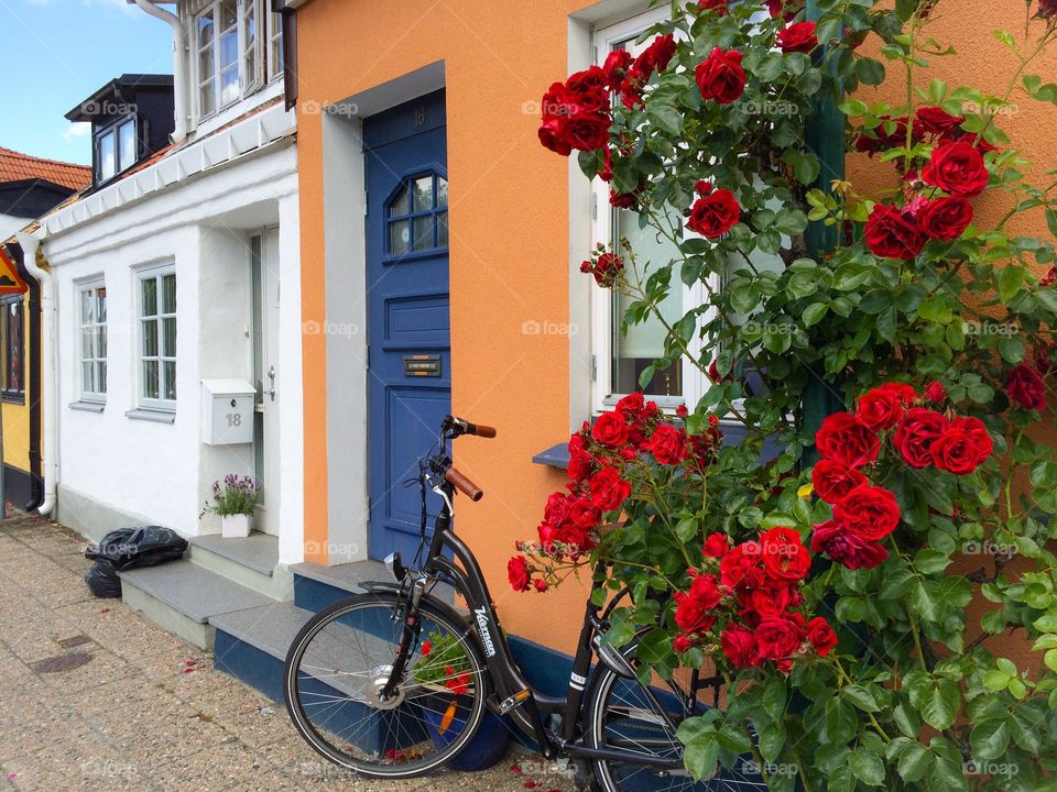 Urban gardening