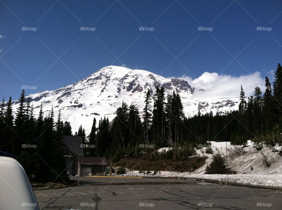 Mt. Rainer. A view of Mt. Rainier from in the National Park