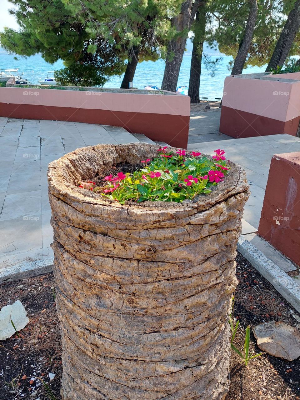 Summer landscape. Palm tree trunk as a flower pot.  Geometric shapes:circle and  rectangle