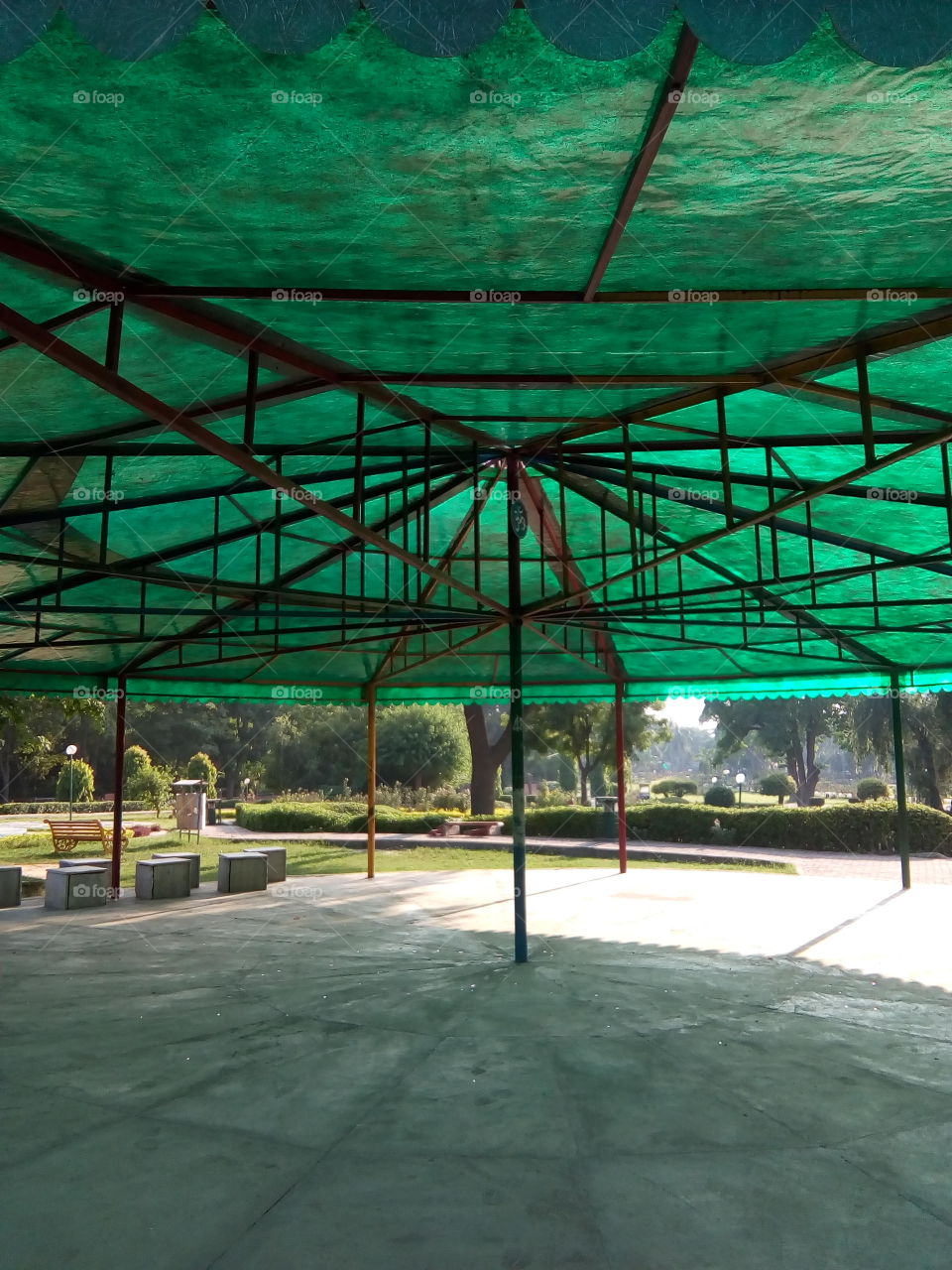 a beautiful sight in a garden