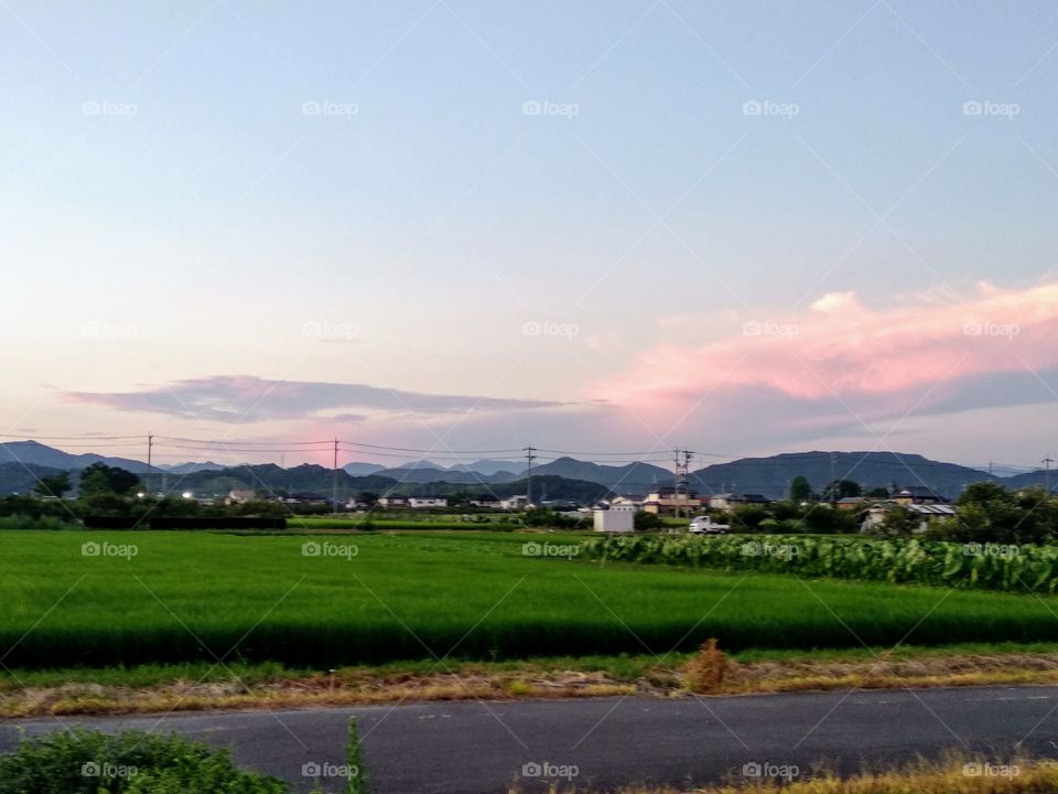 A Countryside View Before Sunset