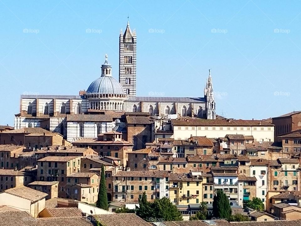 Siena Duomo Skyline