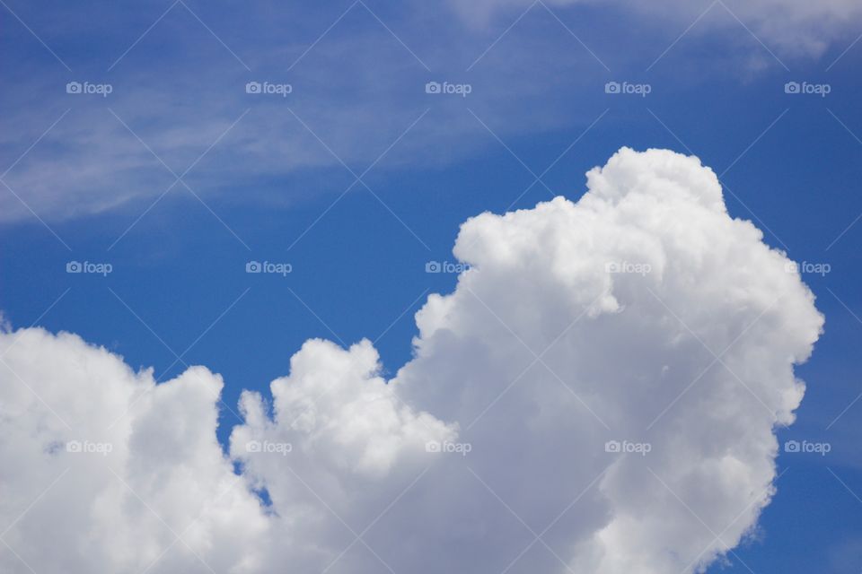 Cumulus clouds