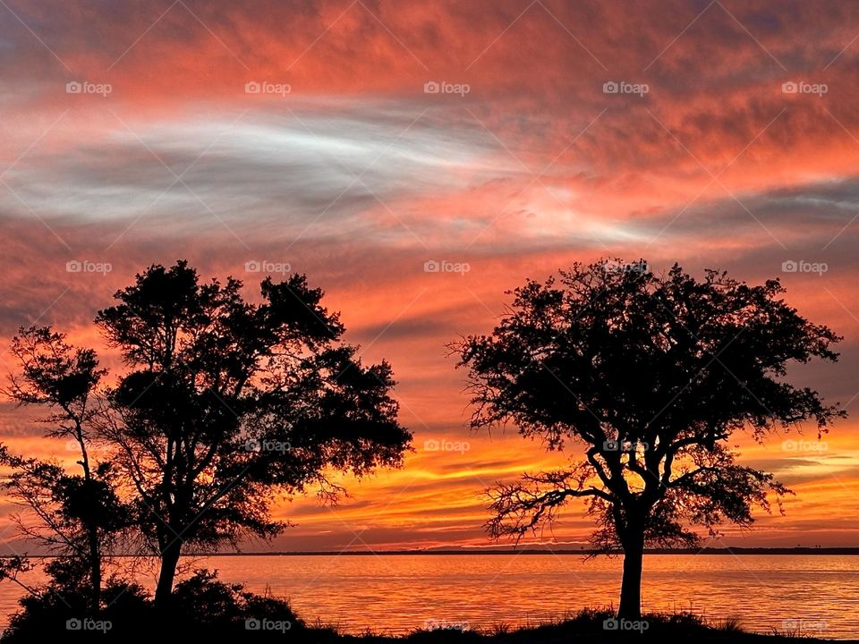 The glowing, descending setting sun gave a warm orange tinge to the sky and cast an iridescent shadow on the ground through an opening of the  trees