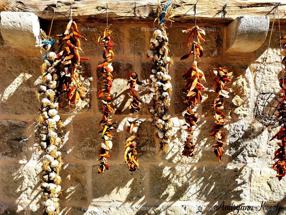 Herbs and plants all domestic