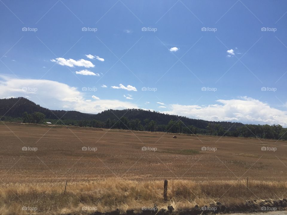 No Person, Landscape, Outdoors, Sky, Agriculture