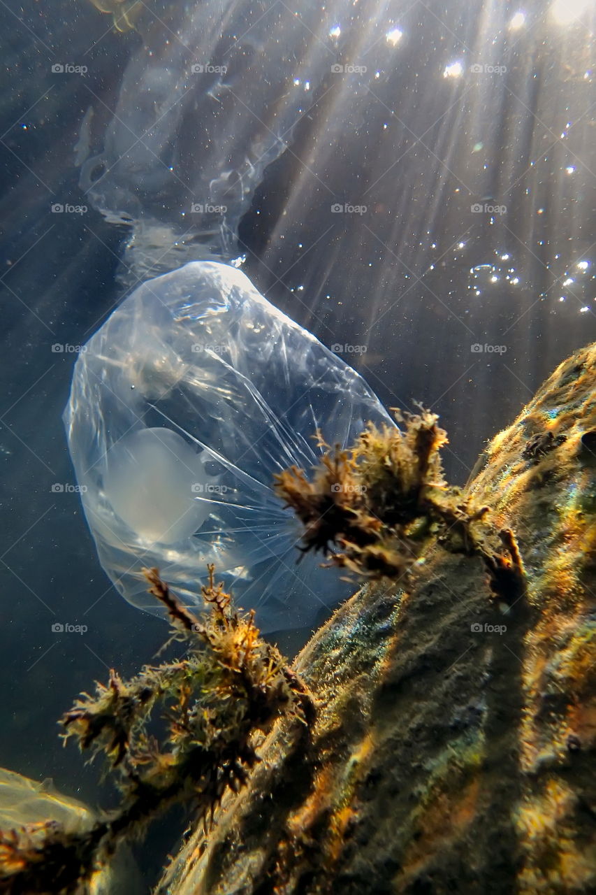 underwater plastic bag UFO mystical