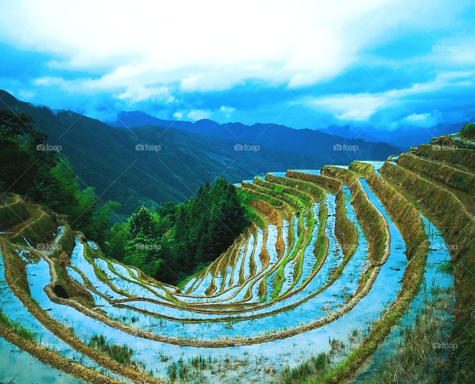 Stunning Dragon's Backbone Rice Terraces in Longsheng County, in the north of Guangxi, China.