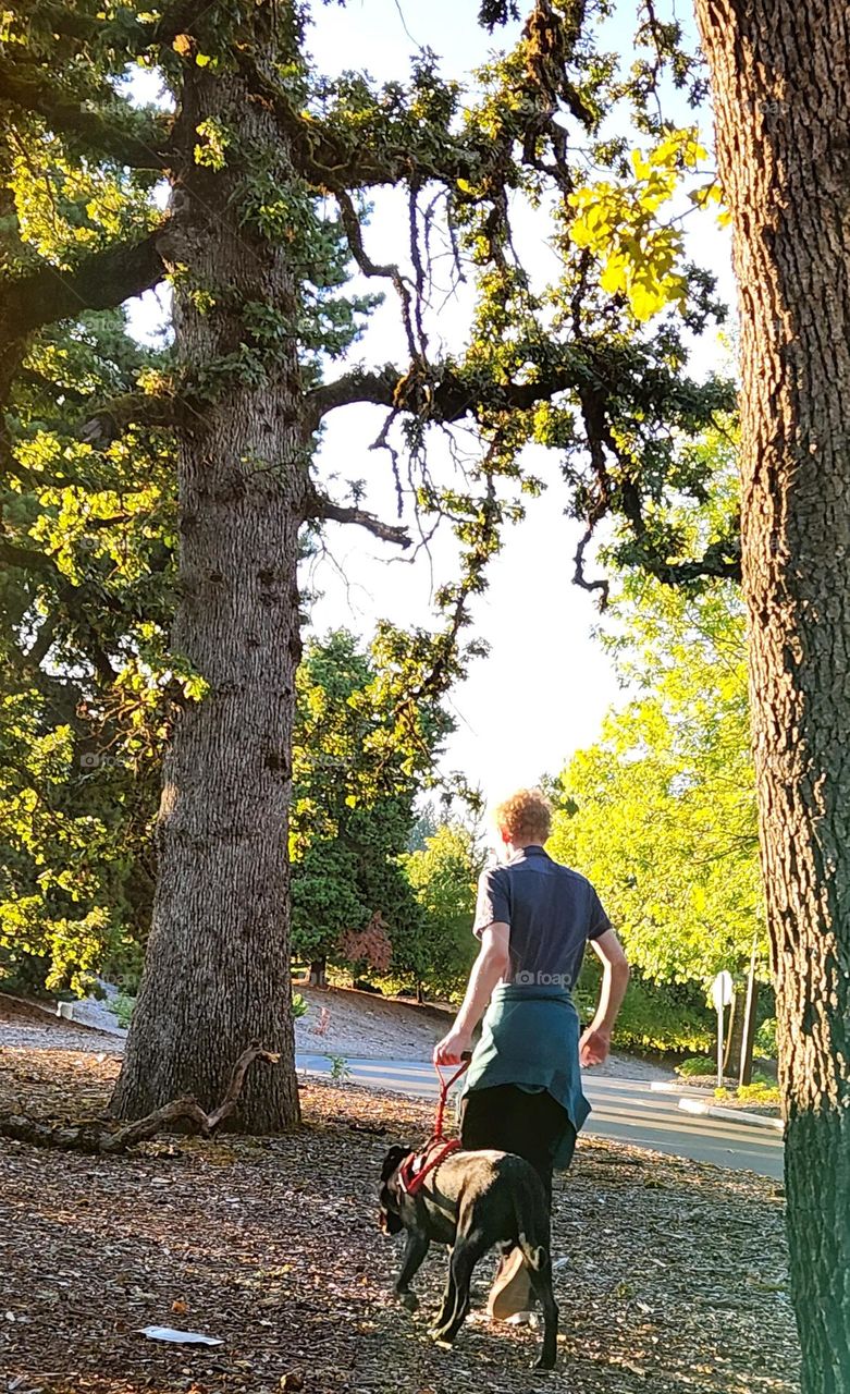 young fair haired man walking a black dog through the trees on a sunny afternoon in Oregon