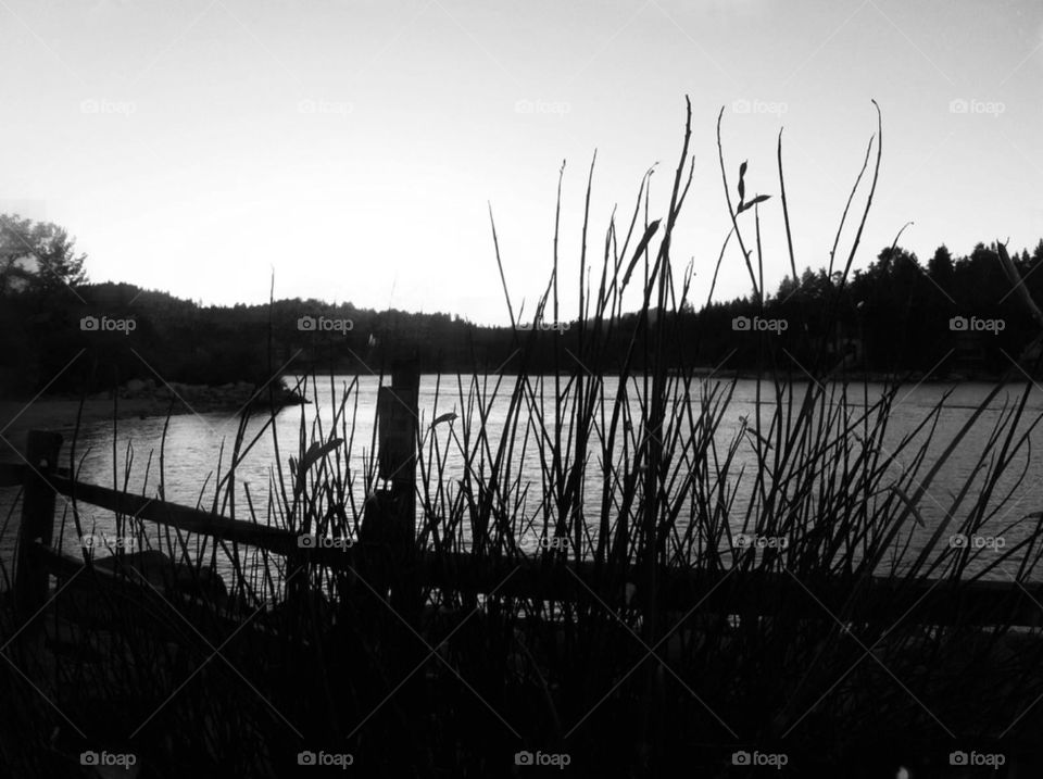 Black and White Sunset