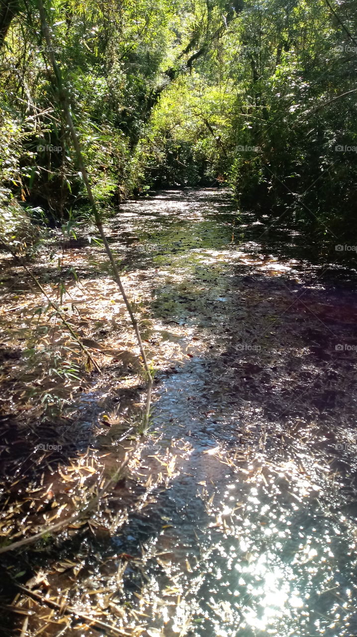 LEITO DE PEDRA DO RIACHO
