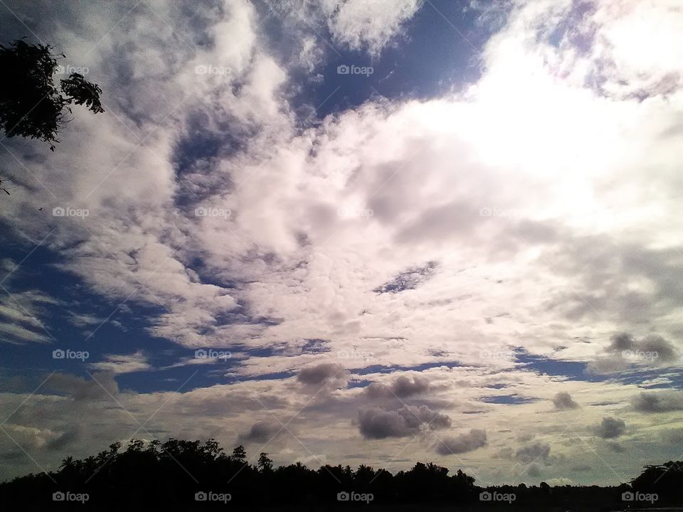 Lovely evening by the side of  the paddy fields and the river
