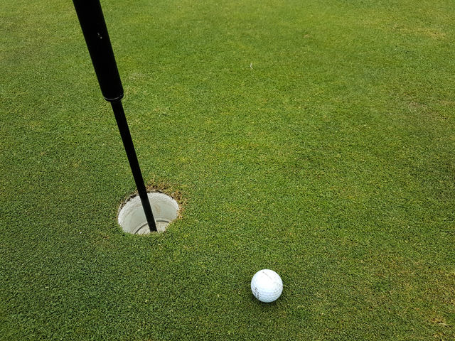 golf ball near hole on the green