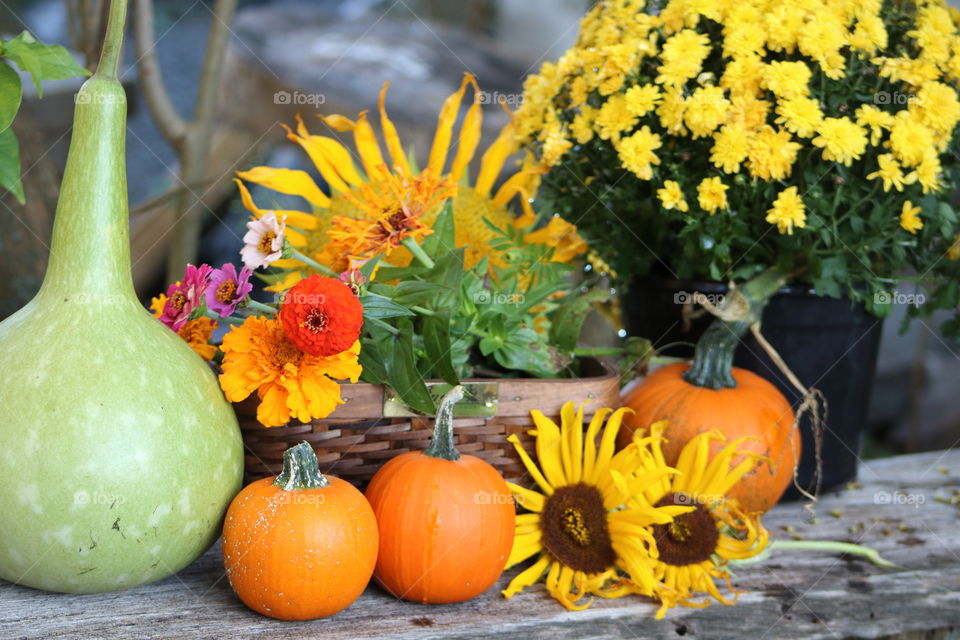 Pumpkin, Flower& Gourd Fall Display
