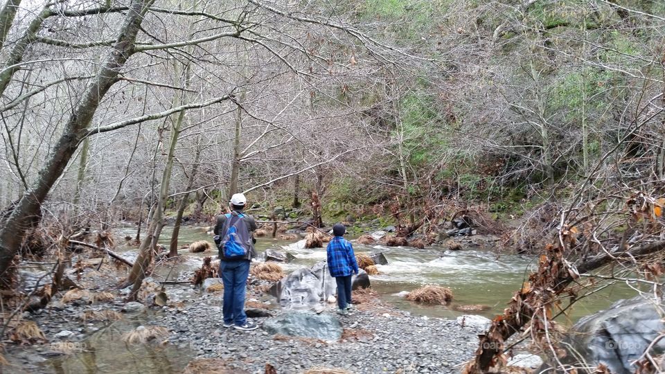 Hikers admiring nature along a stream in forest