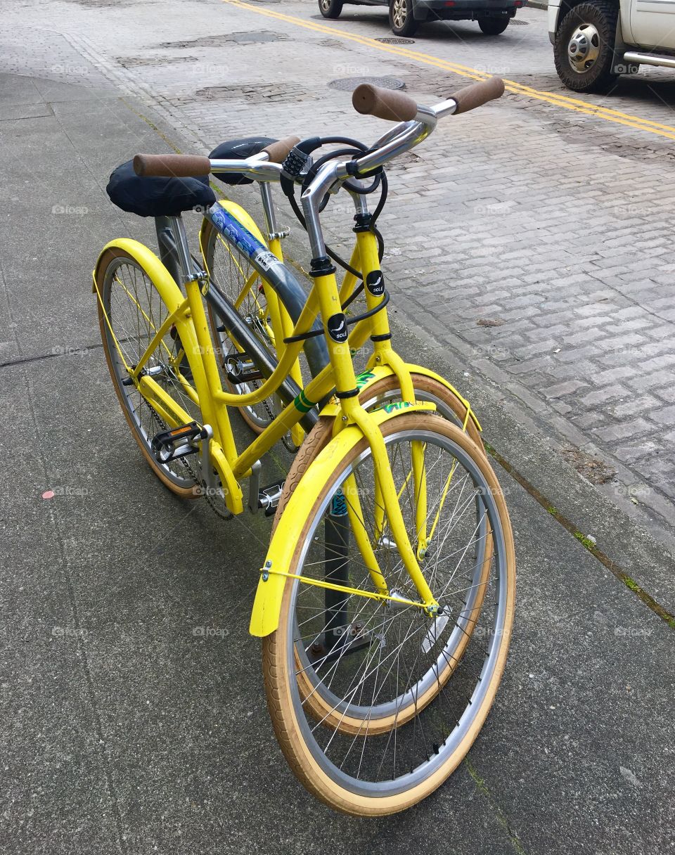 Yellow Bicycles 