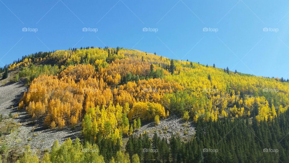 Fall in Southwest Colorado