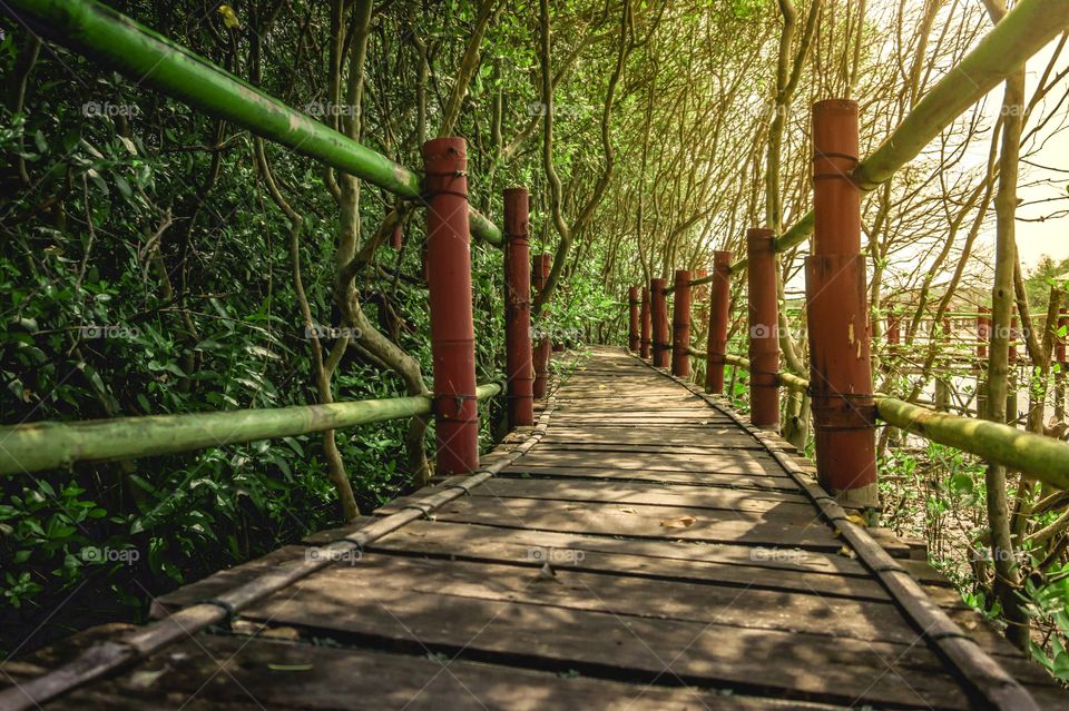 Bridge of wood and bamboo at the edge of the mangrove forest