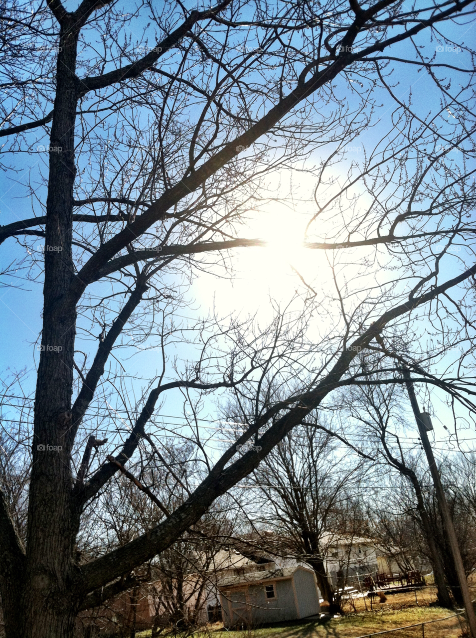 sky light blue tree by heartbreaknate_
