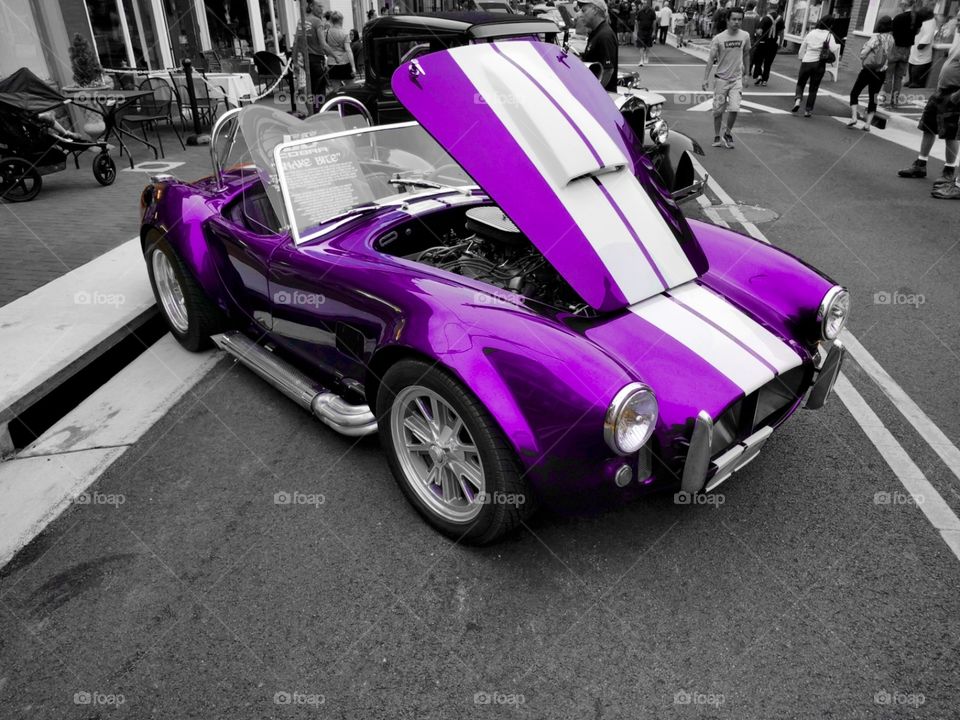 Purple Cobra