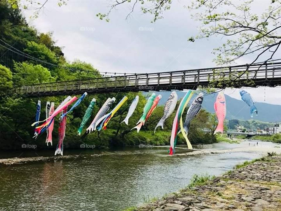 Hanging Carp Decor on a Bridge