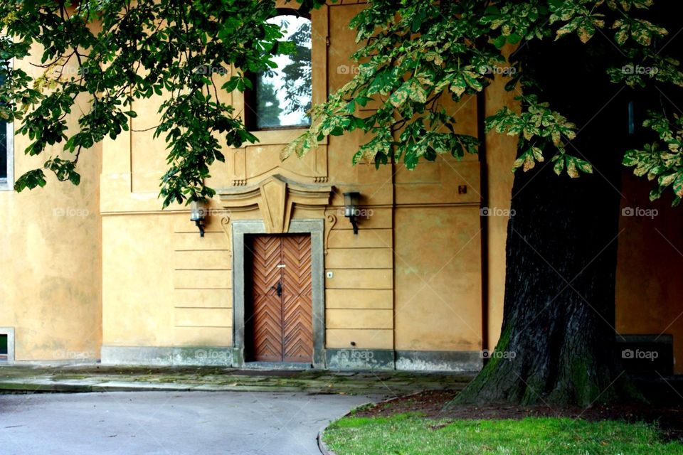 House, Architecture, Wood, Window, No Person